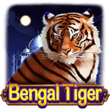 Bengal Tiger