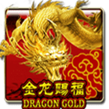 Dragon Gold