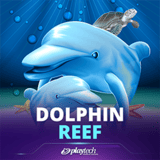 Dolphin Reef